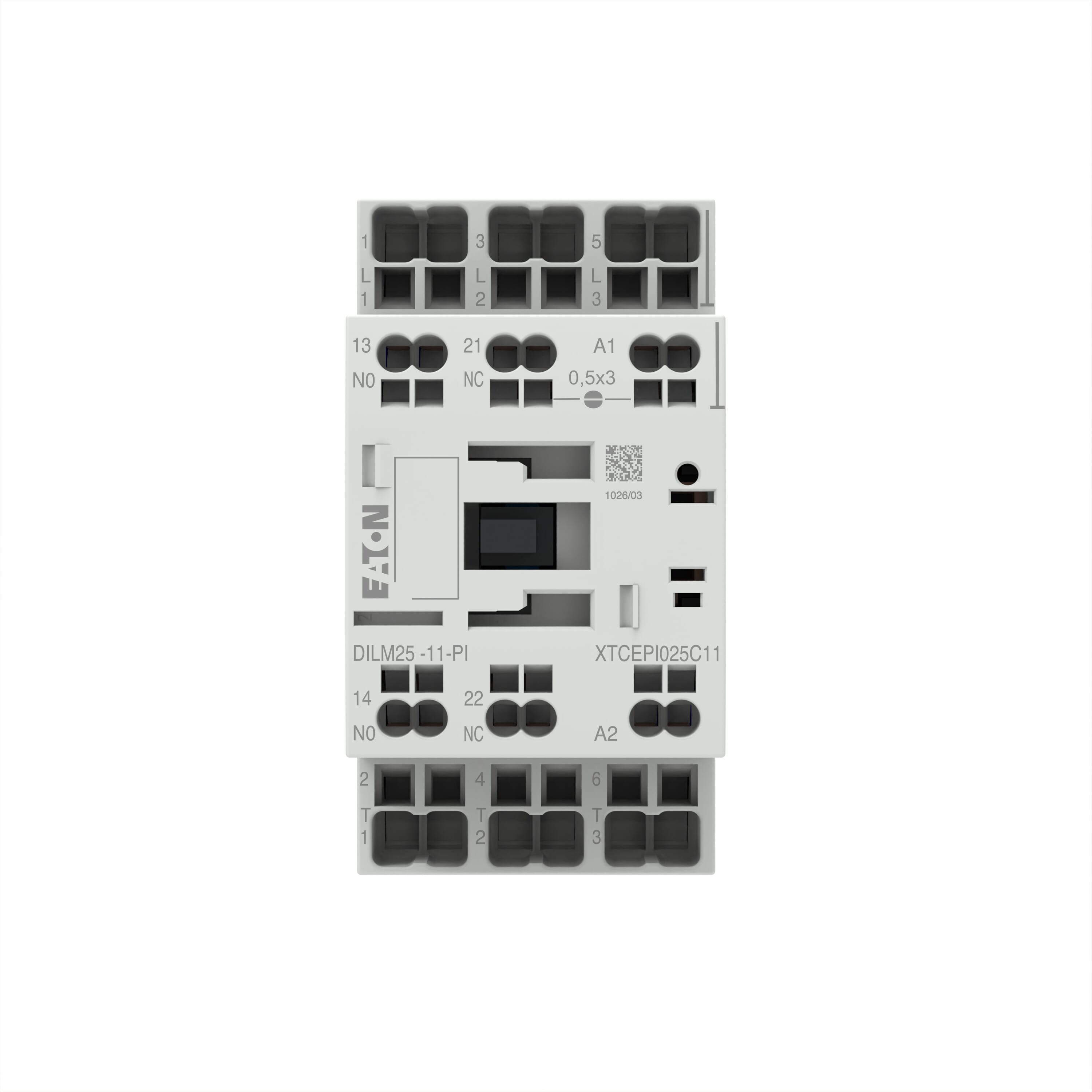 ムク　sar 199285-01-01.jpg?scale.option=